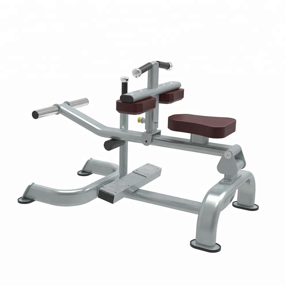 SEATED CALF RAISE