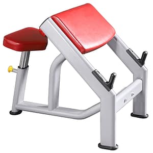 SEATED ARM CURL