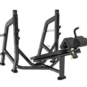 DECLINE BENCH PRESS