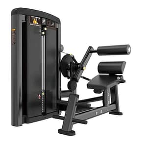 ABDOMINAL CRUNCH & BACK EXTENSION (PIN LOADED)